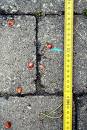 Sometimes just a few inches can be the difference when you are spitting pits. Sometimes just a few inches can be the difference when you are spitting pits.