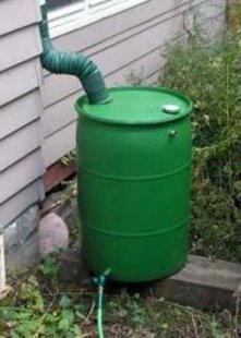 Rain Barrel Rain Barrel