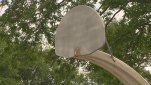 Fisk Park. Photo courtesy of WLUK Fisk Park. Photo courtesy of WLUK