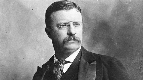 Theodore Roosevelt's love of the country's natural beauty spurred him to create and conserve hundreds of national forests, parks and monuments during his presidency, but his legacy is being preserved digitally. Theodore Roosevelt's love of the country's natural beauty spurred him to create and conserve hundreds of national forests, parks and monuments during his presidency, but his legacy is being preserved digitally.