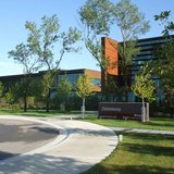 Microsoft Fargo Microsoft Fargo