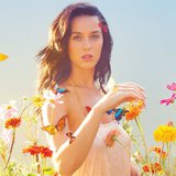 Image courtesy of Ryan McGinley/Capitol Records (via ABC News Radio) Image courtesy of Ryan McGinley/Capitol Records (via ABC News Radio)