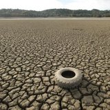 A tire rests on the dry bed of Lake Mendocino, a key Mendocino County reservoir, in Ukiah, California February 25, 2014.
CREDIT: REUTERS/NOAH BERGER A tire rests on the dry bed of Lake Mendocino, a key Mendocino County reservoir, in Ukiah, California February 25, 2014.
CREDIT: REUTERS/NOAH BERGER