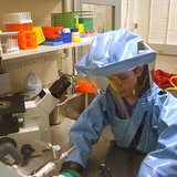 bio safety bio safety