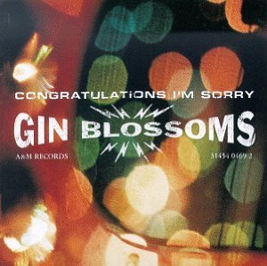 Congratulations I'm Sorry Album Cover