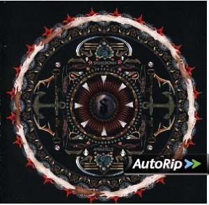 Amaryllis Album Cover