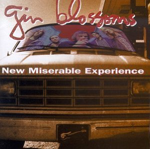 New Miserable Experience (bonus disc) Album Cover