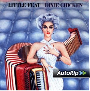 Dixie Chicken Album Cover