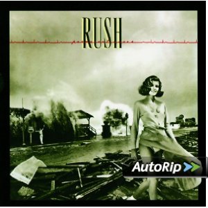 Permanent Waves Album Cover