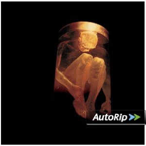 Nothing Safe: The Best of the Box Album Cover
