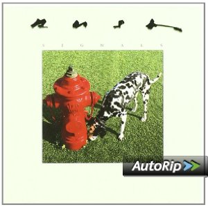 Signals Album Cover
