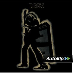 Electric Warrior Album Cover