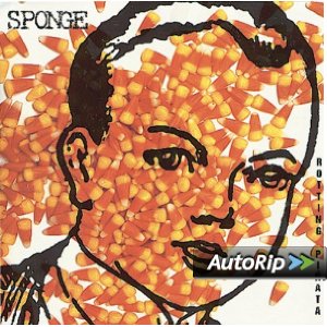 Rotting Piñata Album Cover