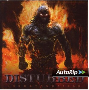 Indestructible Album Cover