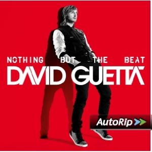 Nothing but the Beat Album Cover