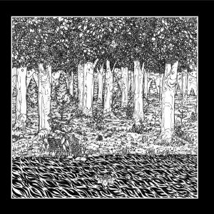 Through the Trees Album Cover