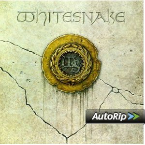 Whitesnake Album Cover