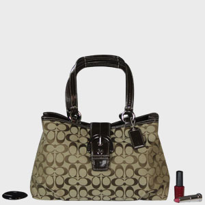 Purse 11
