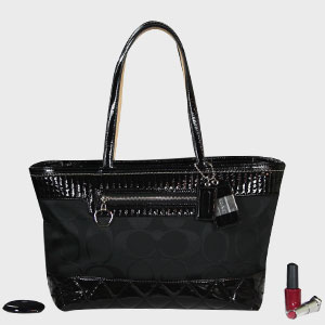 Purse 61
