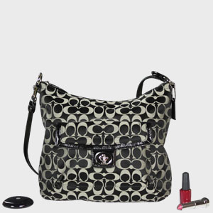 Purse 73