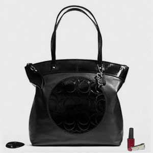 Purse 06