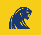 DeWitt Logo