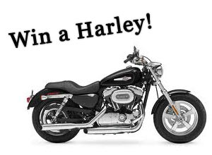 Win a Harley Sportster Harley Sportster