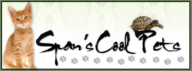 Span's Cool Pets