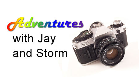 Click Here to View the Adventures with Jay and Storm Adventures with Jay and Storm