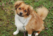 Cool Pet Photo