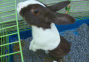 Cool Pet Photo