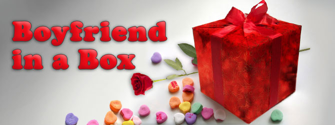 Boyfriend in a Box image