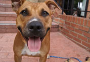 Cool Pet Photo