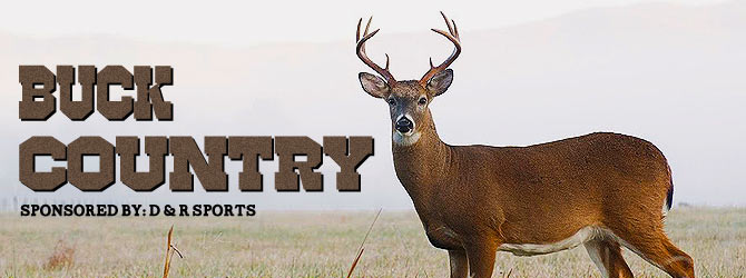 Buck Country Banner