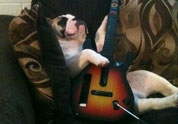 Cool Pet Photo