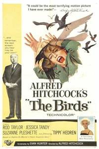 _The Birds