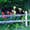 WKZO Over the Garden Fence Show logo