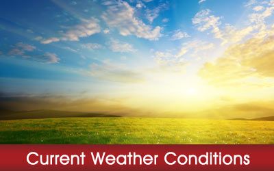 Weather