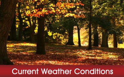 Weather