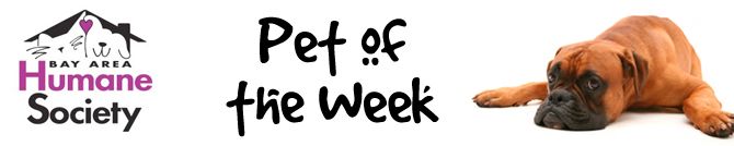 _wydr-blog-baypotw