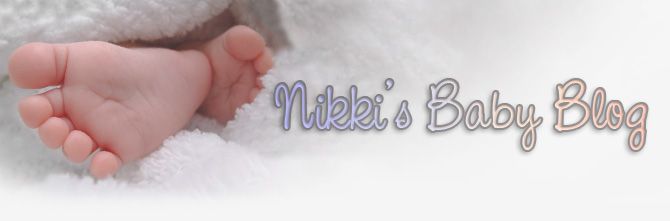 Nikki's Baby Blog Header - No Sponsor