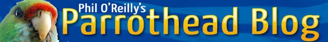 Phil O'Reilly's Parrothead Blog Header