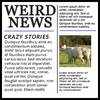 Weird News Show logo