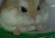 Cool Pet Photo