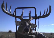 Your Rack Photo
