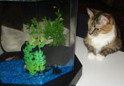 Cool Pet Photo