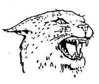 Gresham Wildcats Logo