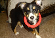 Cool Pet Photo