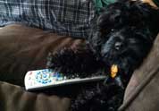 Cool Pet Photo