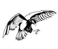 John Edwards Blackhawks Logo